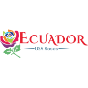 Ecuador Rose