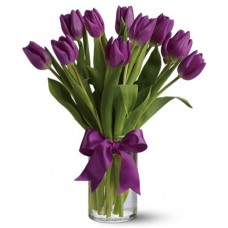 Valentine Passionate Purple Tulips