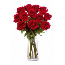 12 Long Stem Premium Roses Wrapped Vase Bouquet